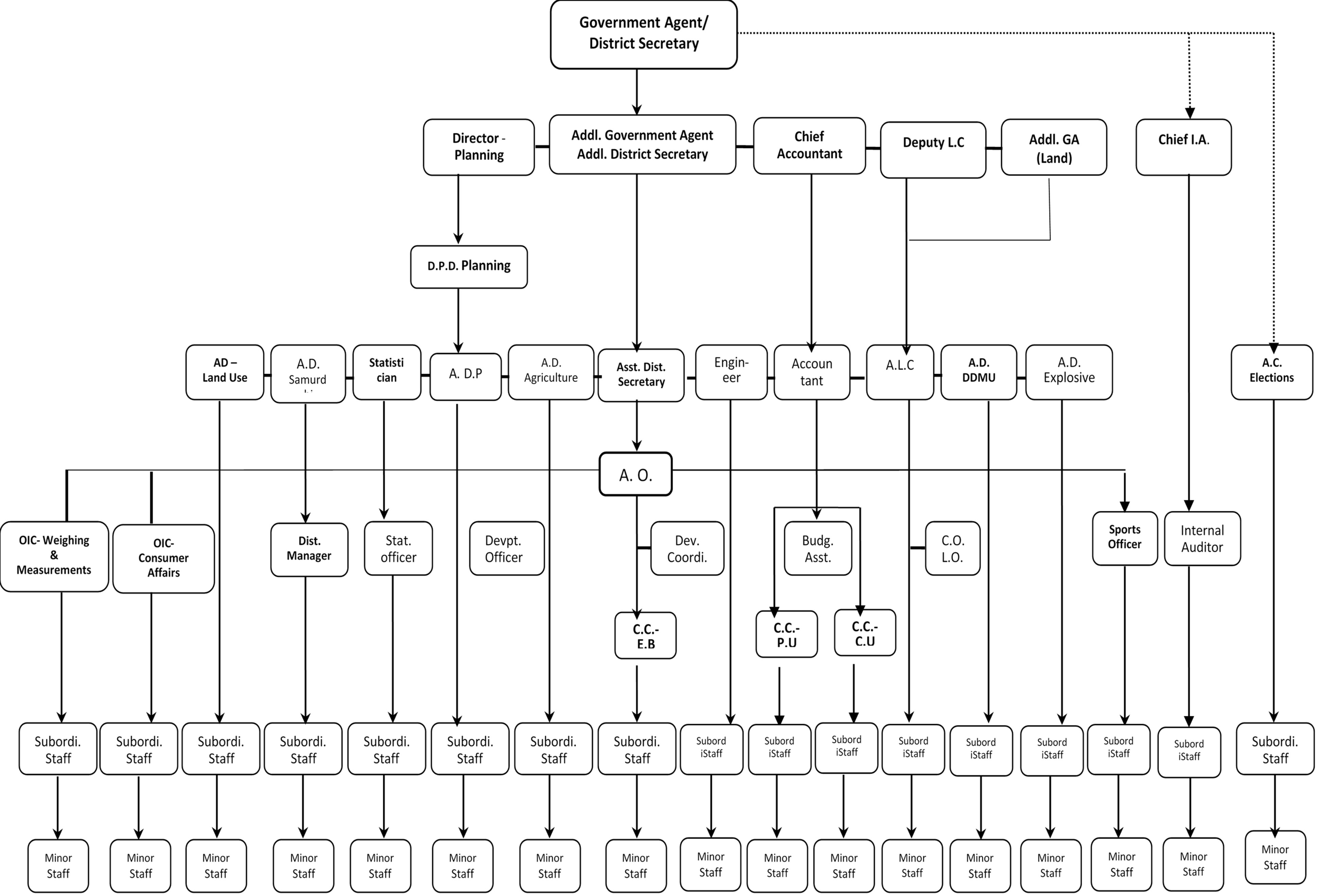 organization chart